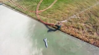 The Garden Sprinkler goes wild